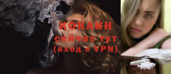 гашик Белоозёрский