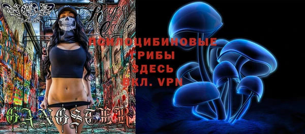 мет Белокуриха