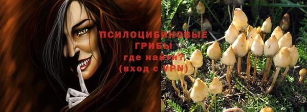 гашик Белоозёрский