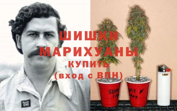 марки nbome Беломорск