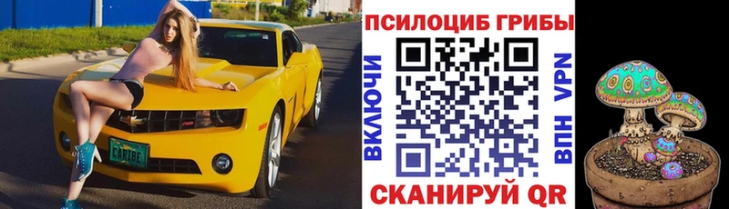 Галлюциногенные грибы Magic Shrooms  Норильск 